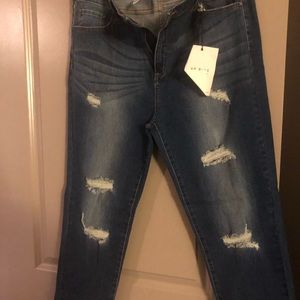 AP Blue Denim ( Fashion Nova ) - Size 3X